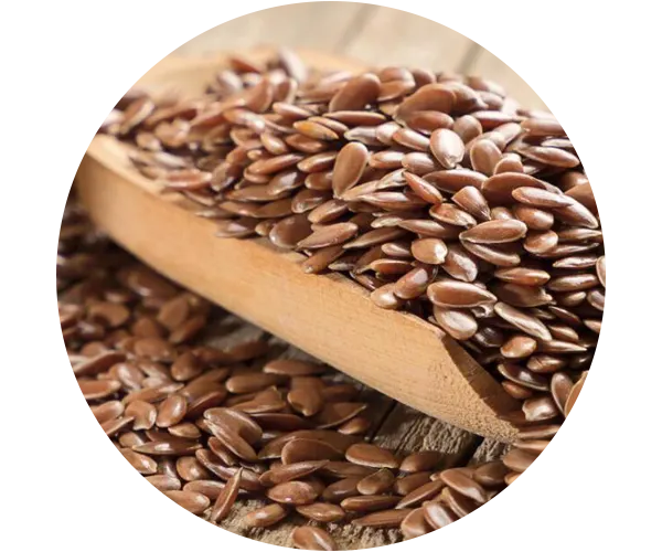 Flax Seeds