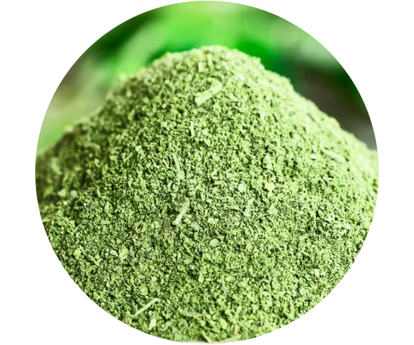 Moringa Leaves Powder