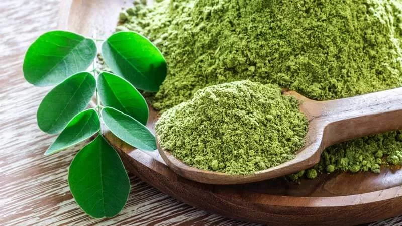 Moringa Leaves Powder