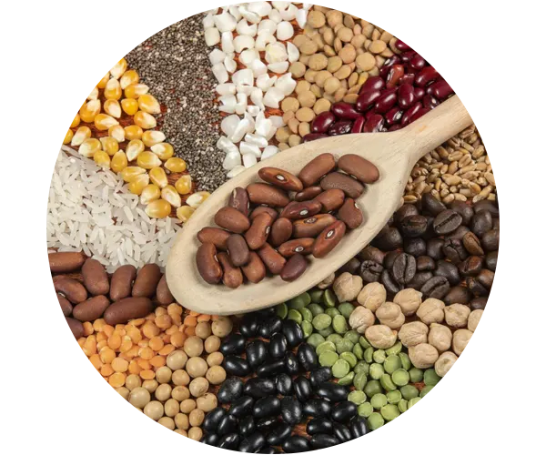 Other Beans