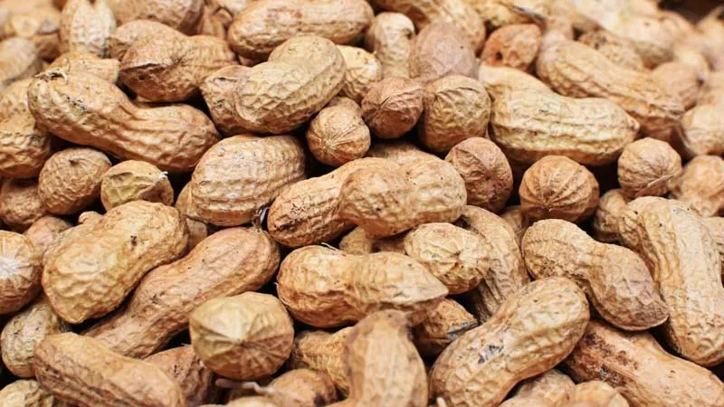 Peanuts