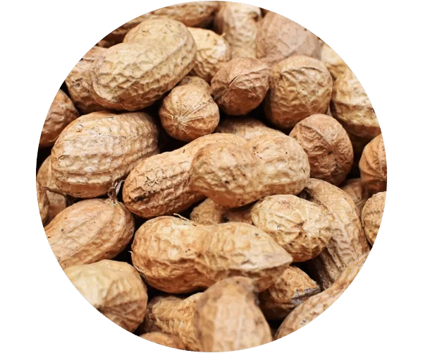 Peanuts