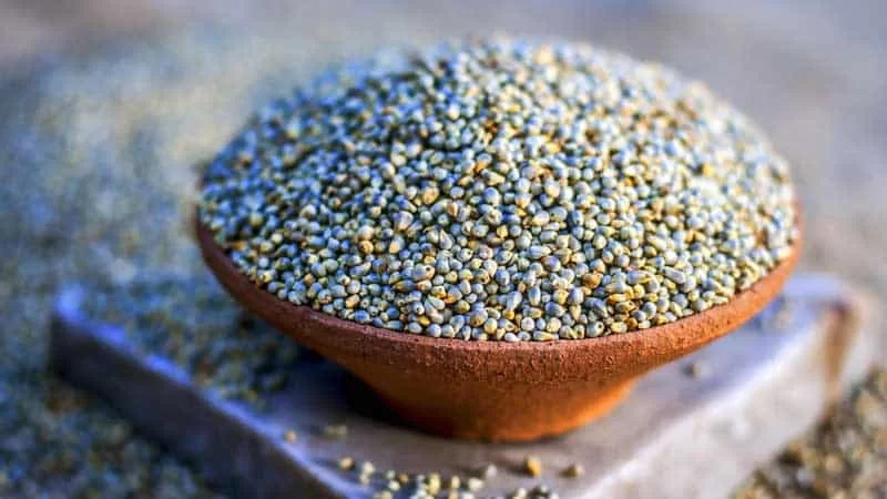 Pearl Millet
