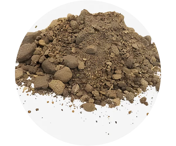 Rapeseed Meal