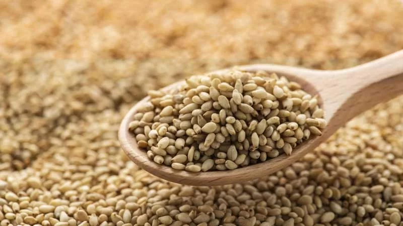 Sesame Seeds