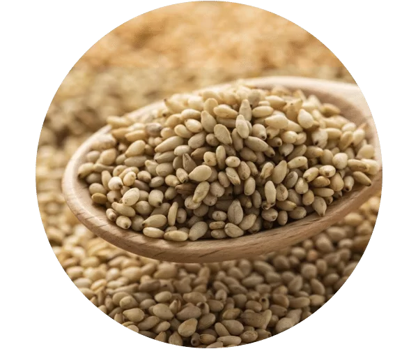 Sesame Seeds