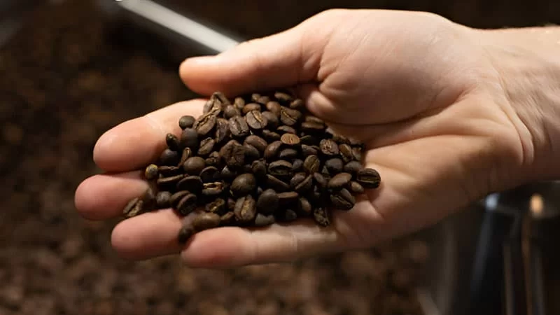 Coffee Robusta Box11