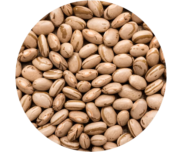 Light Speckled Kidney Beans