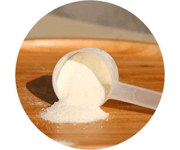 Marine Collagen / Peptide