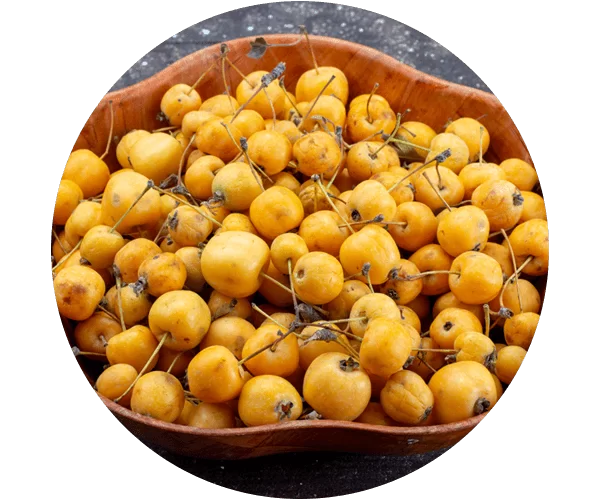 Seabuckthorn
