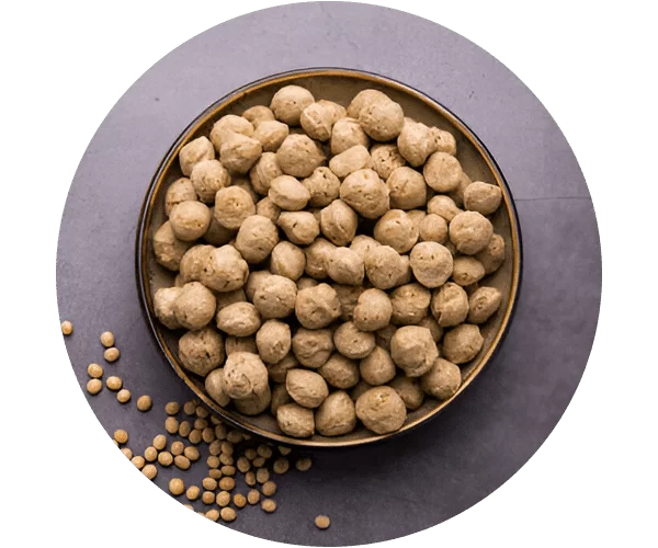 Textured Soy Protein